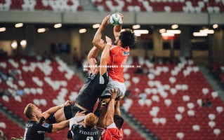 悟空体育官网-沙尔克遭遇主场阻击，陷入连败困境，沙尔克队