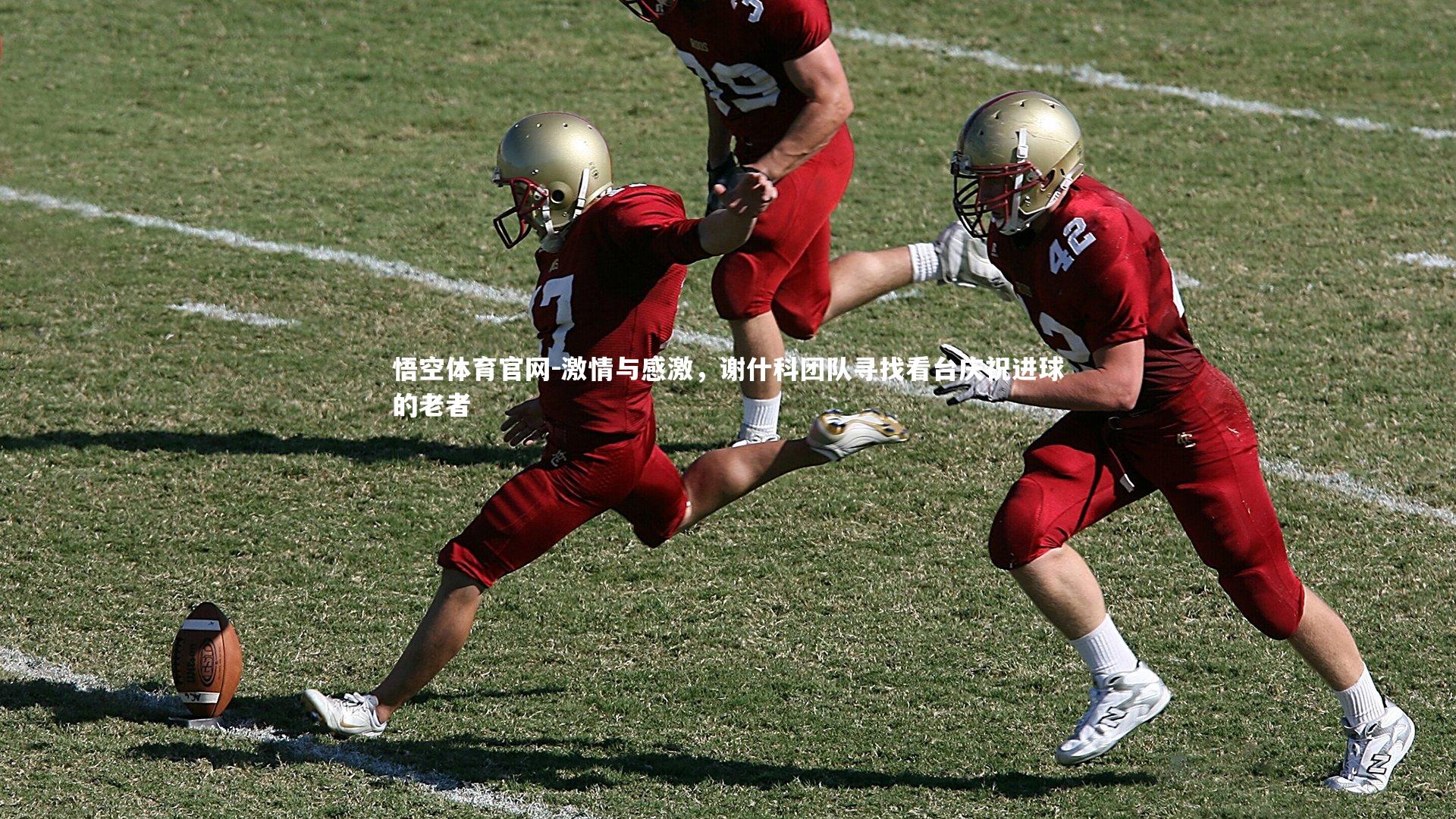 悟空体育官网-激情与感激，谢什科团队寻找看台庆祝进球的老者-第1张图片-悟空体育官网